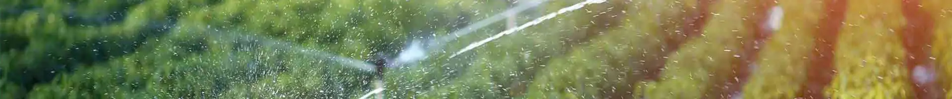 Muitos sprinklers estão pulverizando as terras agrícolas.