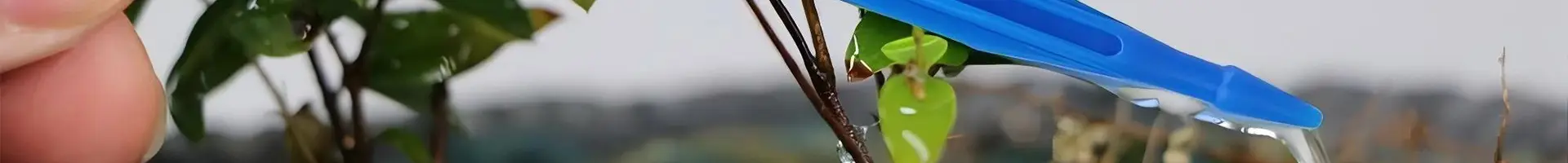 A person holding an arrow dripper watering a plant
