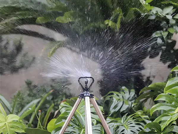 A butterfly sprinkler is irrigating trees.