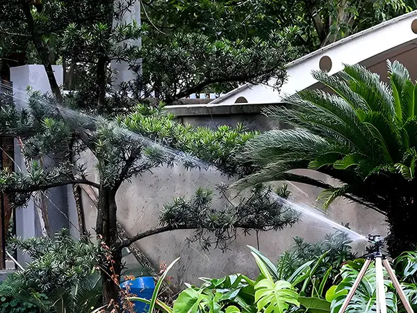 A bracket installation damping rotary sprinkler is irrigating trees.