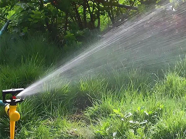 A damping rotary sprinkler is irrigating trees.