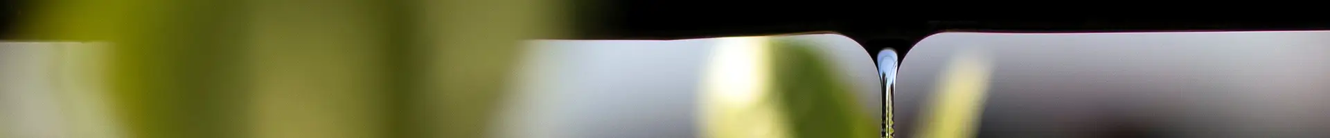 A drip tape is dripping water into the soil.