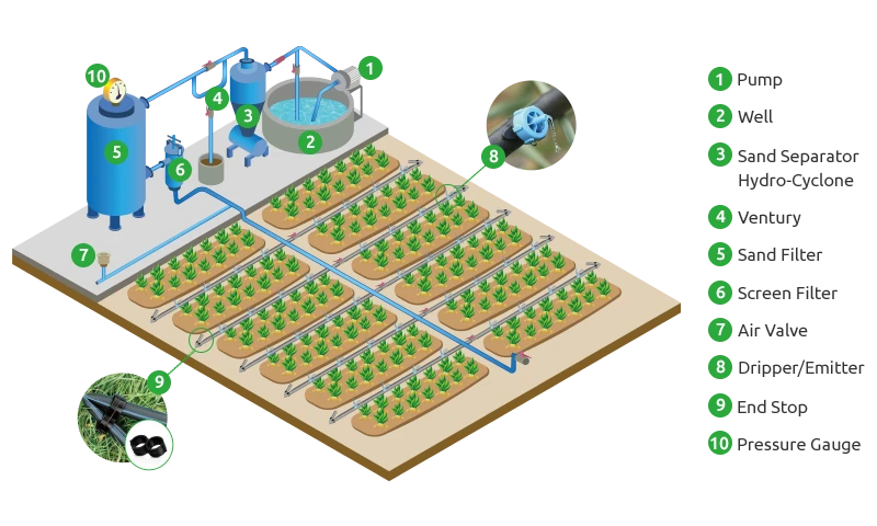 Drip irrigation system layout