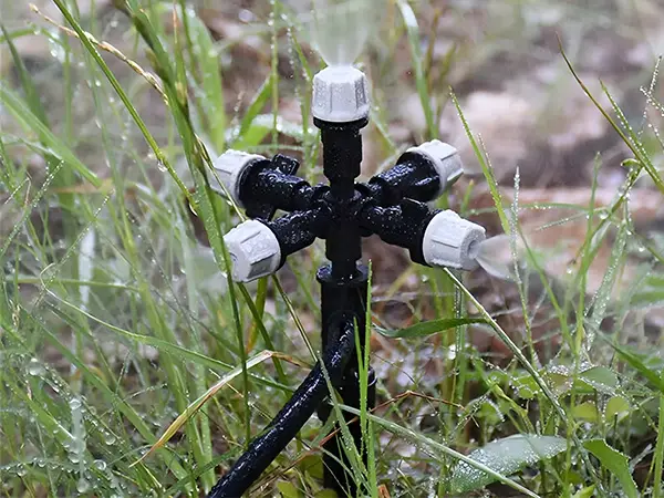 A five-head atomizing sprinkler is spraying water.