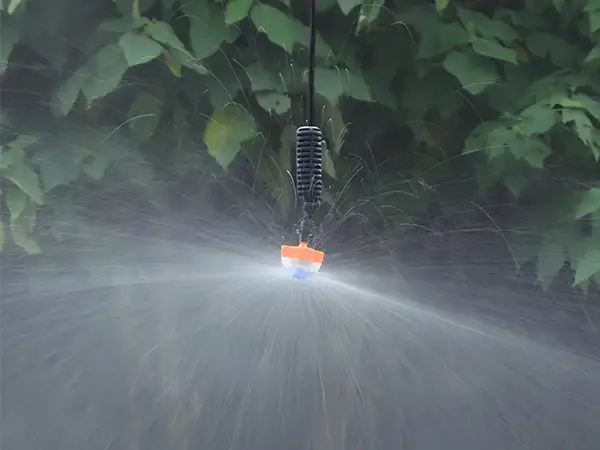 A frameless rotary micro sprinkler is spraying water.