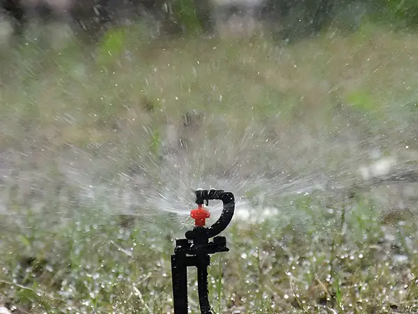A circular wheel g-type rotating micro sprinkler is spraying water.