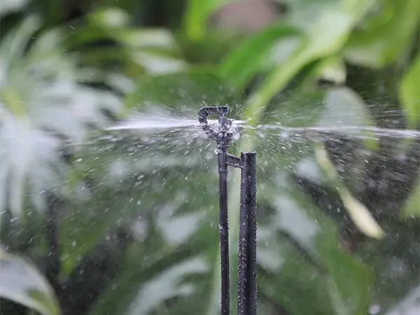 A triangular wheel G-type rotating micro sprinkler is spraying water.