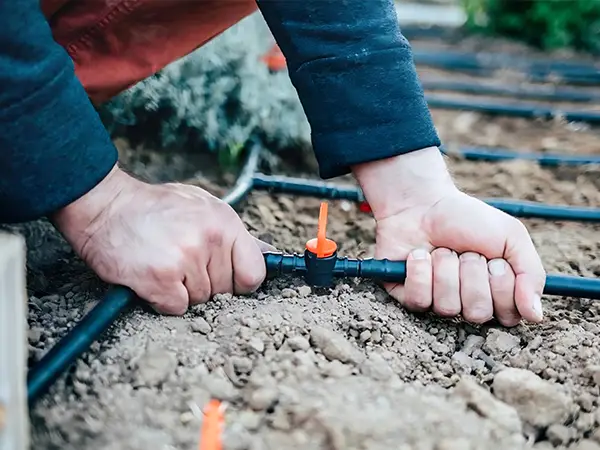 Một công nhân đang lắp đặt hệ thống tưới tiêu.