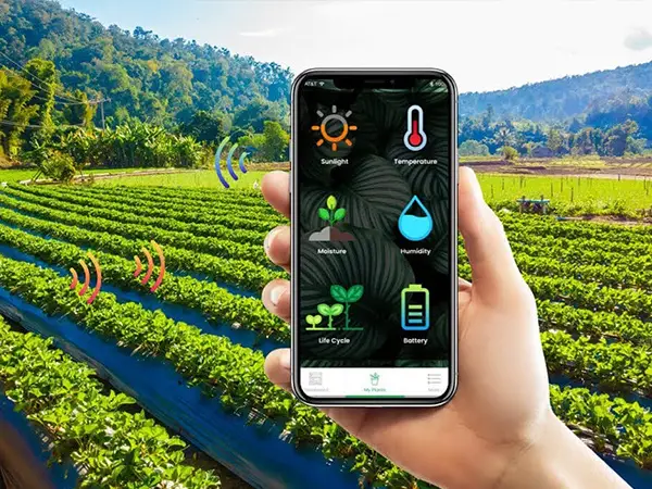 A person is holding a phone to monitor farmland.