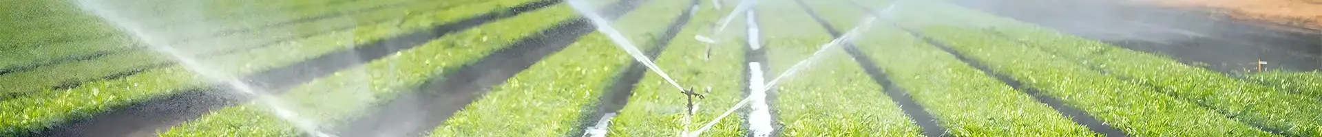Lt: Maraming mga sprinklers ay naglalagay ng lupain sa bukid.
