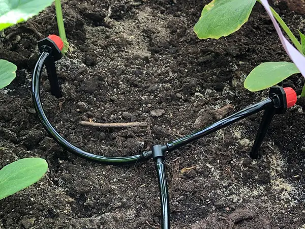 2 drippers are watering in the field.