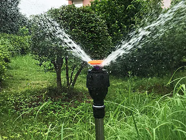 A meganet sprinkler is spraying water on trees