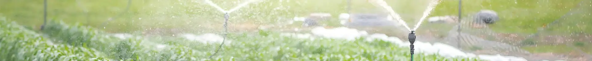 Viele Sprinkler bewässern Ackerland.