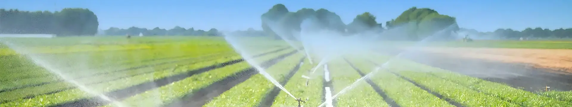 Muitos sprinklers estão irrigando as terras agrícolas.