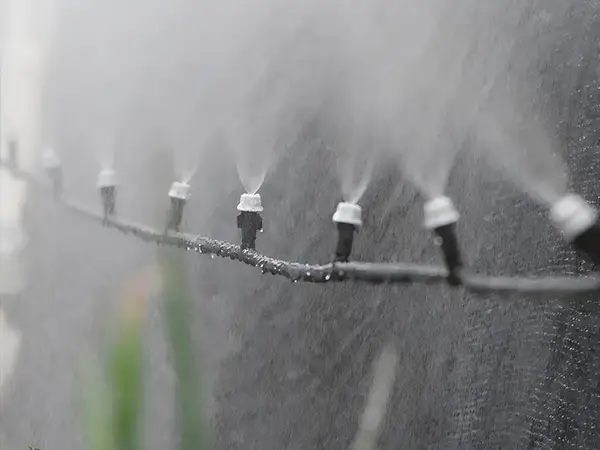 Many gray single-head atomizing sprinklers are spraying water.