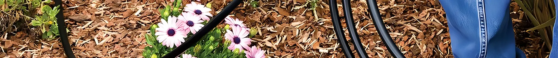 Uma pessoa está colocando tubo de PE no campo.