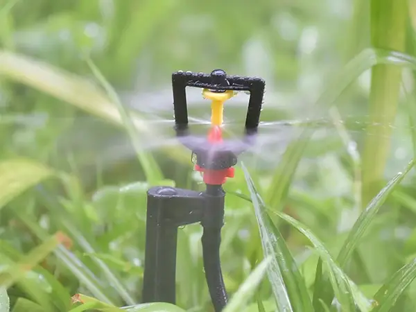 A square refractive micro sprinkler is spraying water.